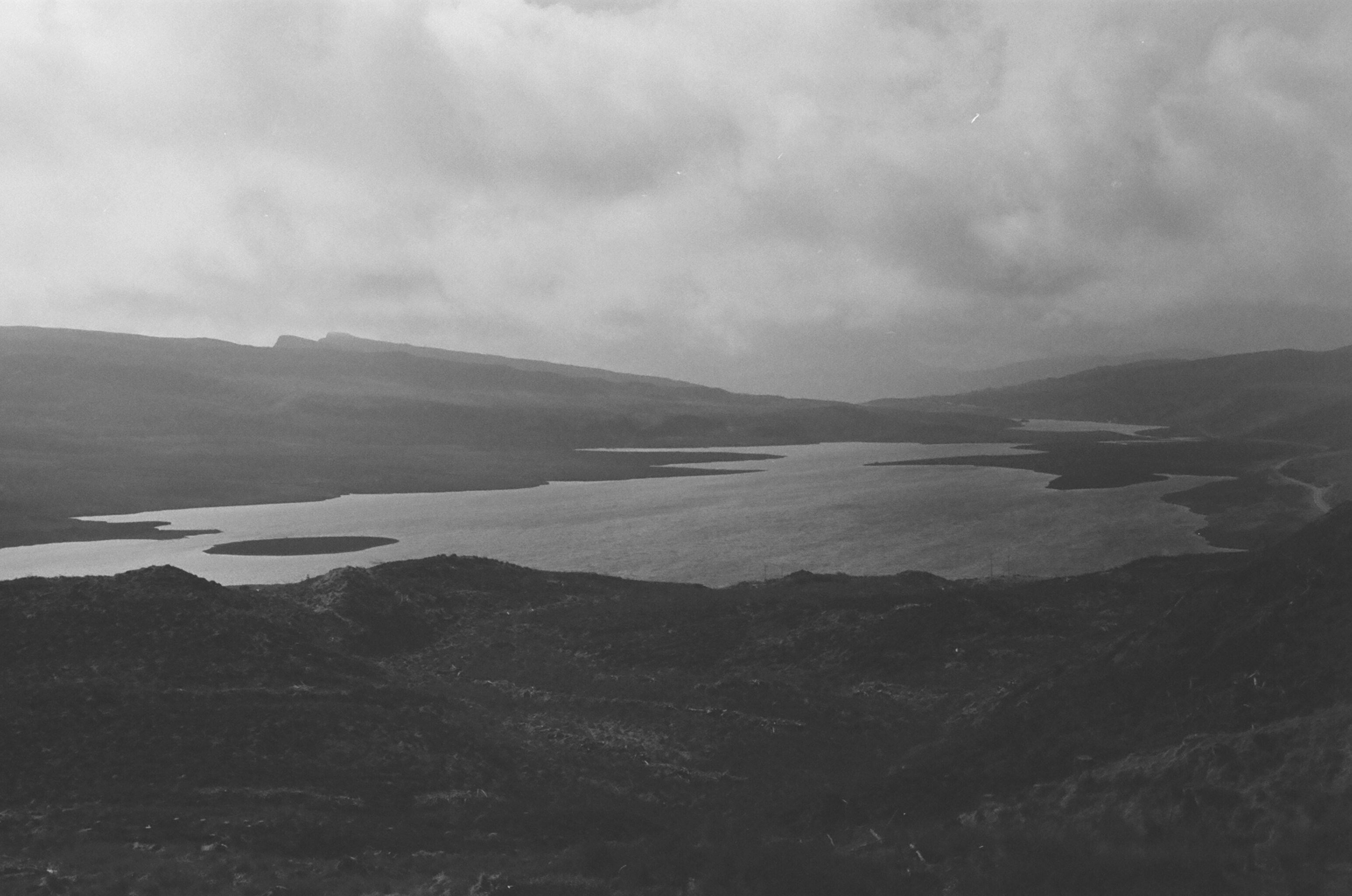 Photo by louissproul