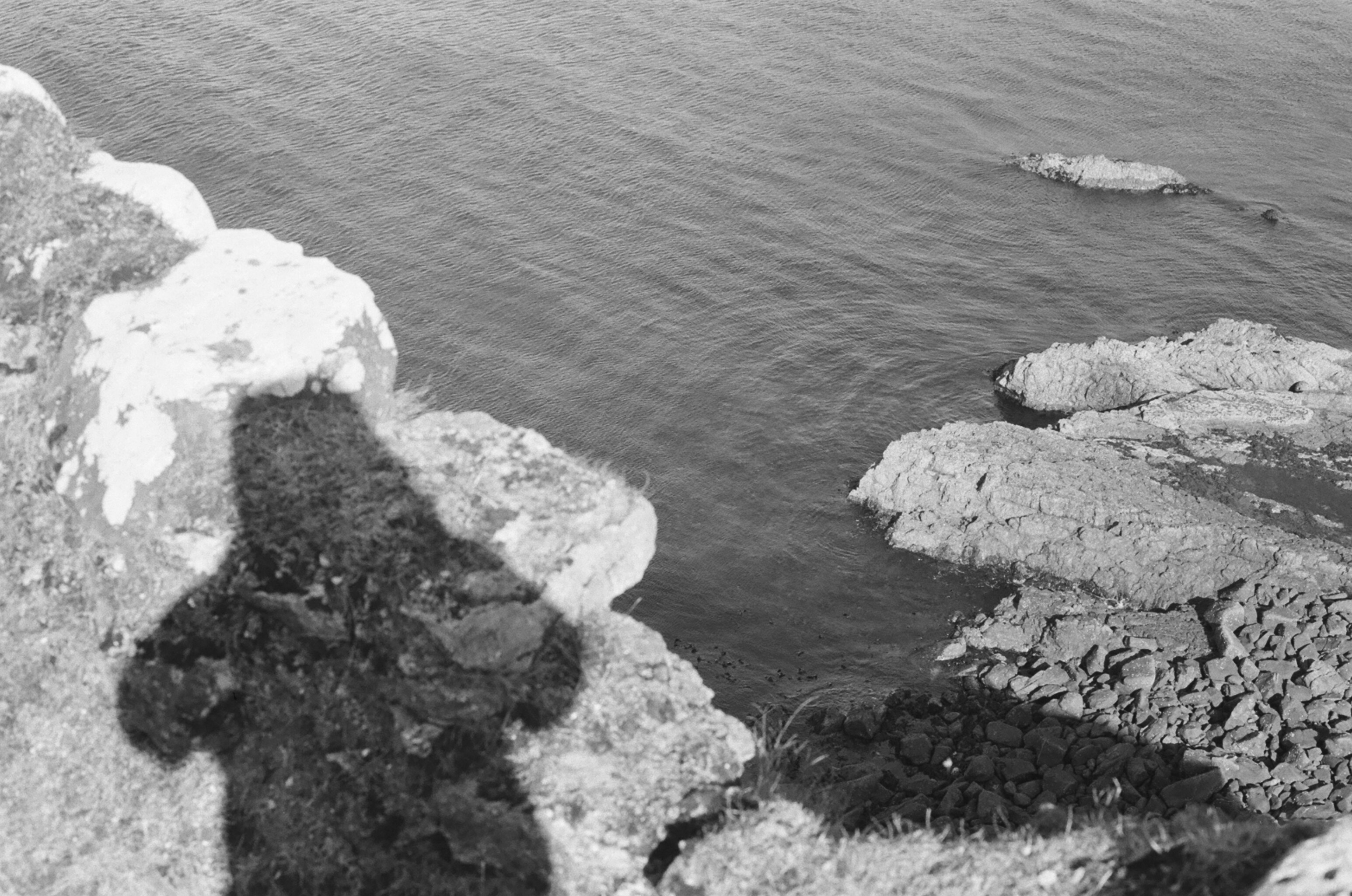 Photo by louissproul