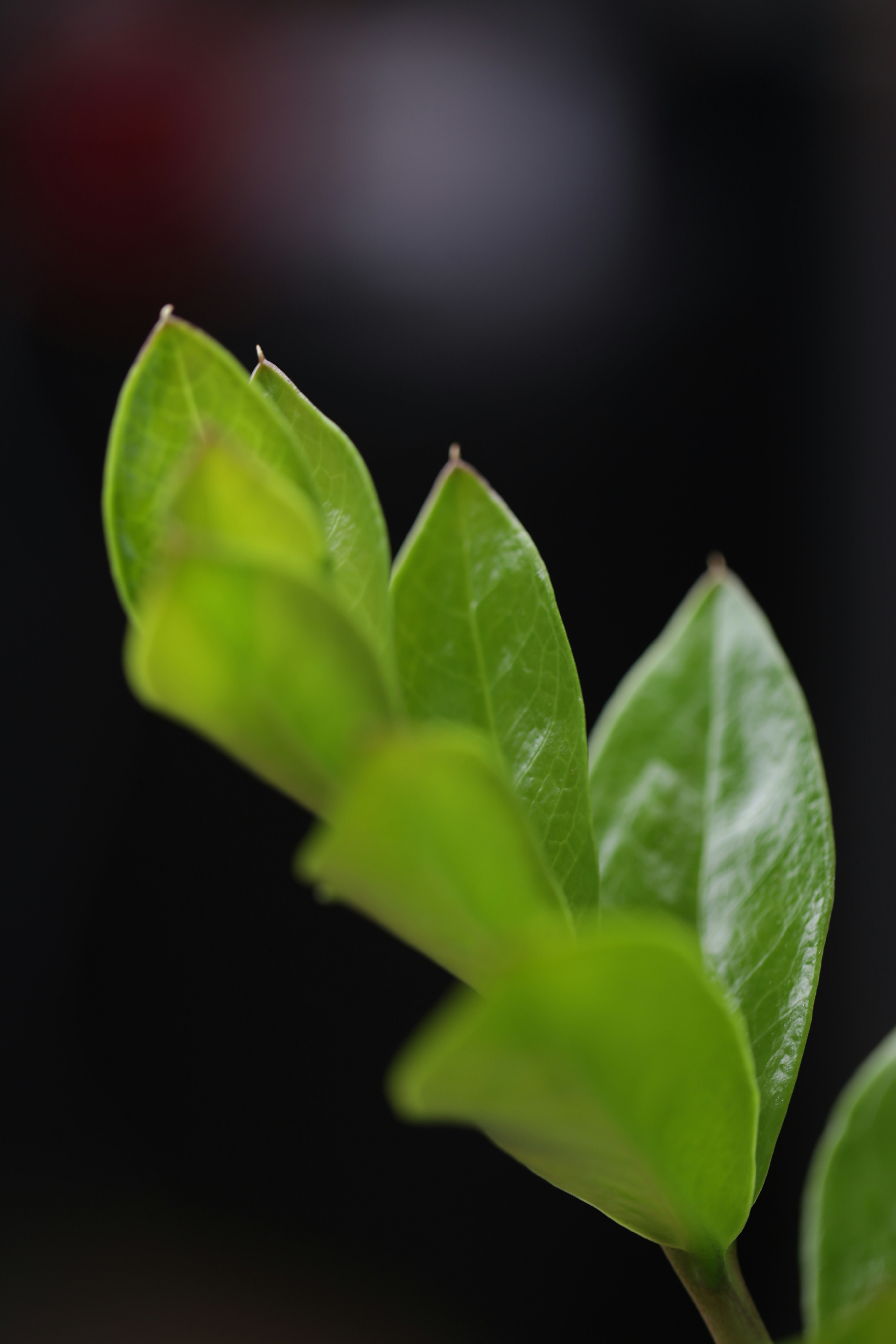 Photo by kristinazuu