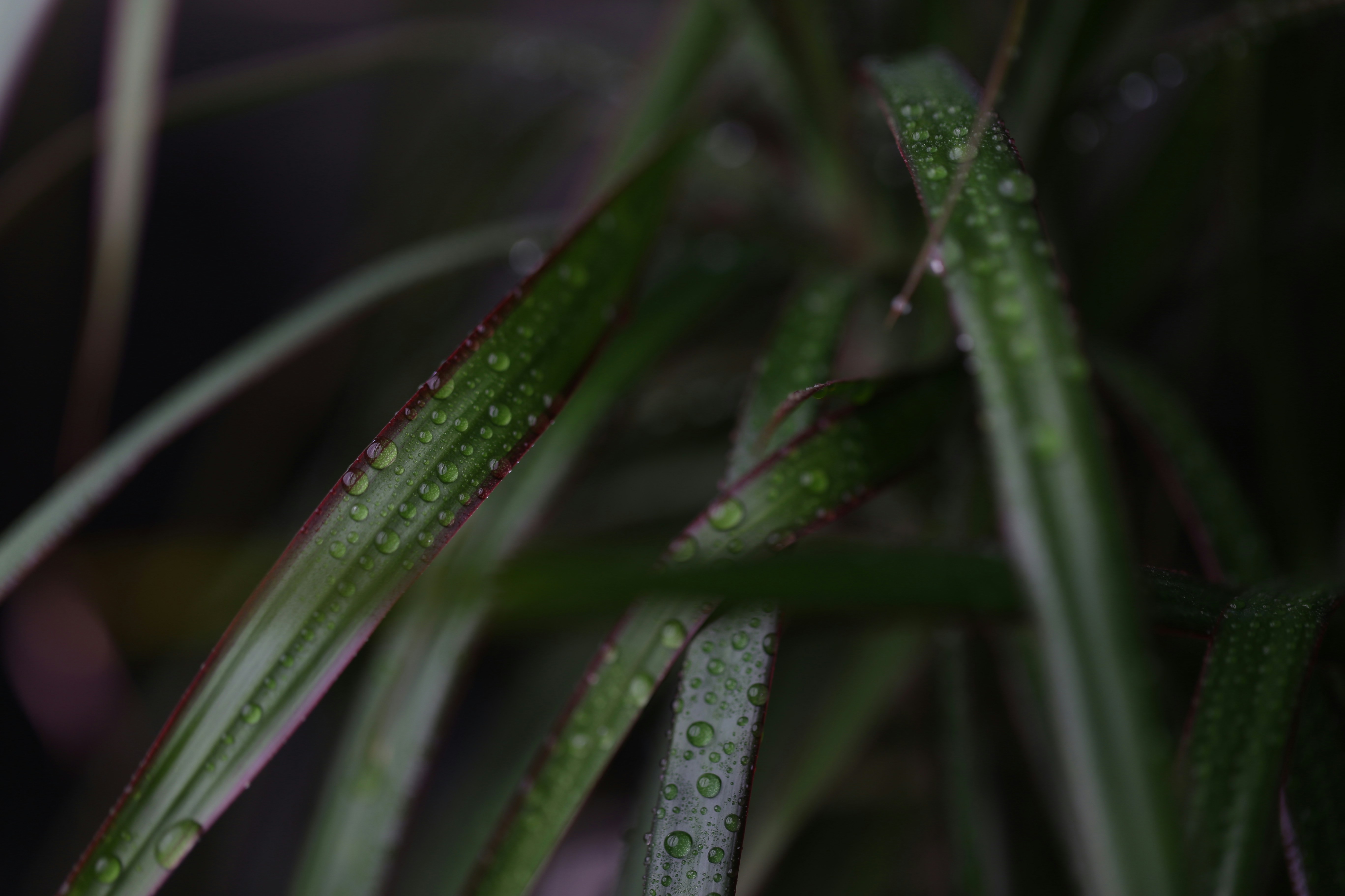 Photo by kristinazuu