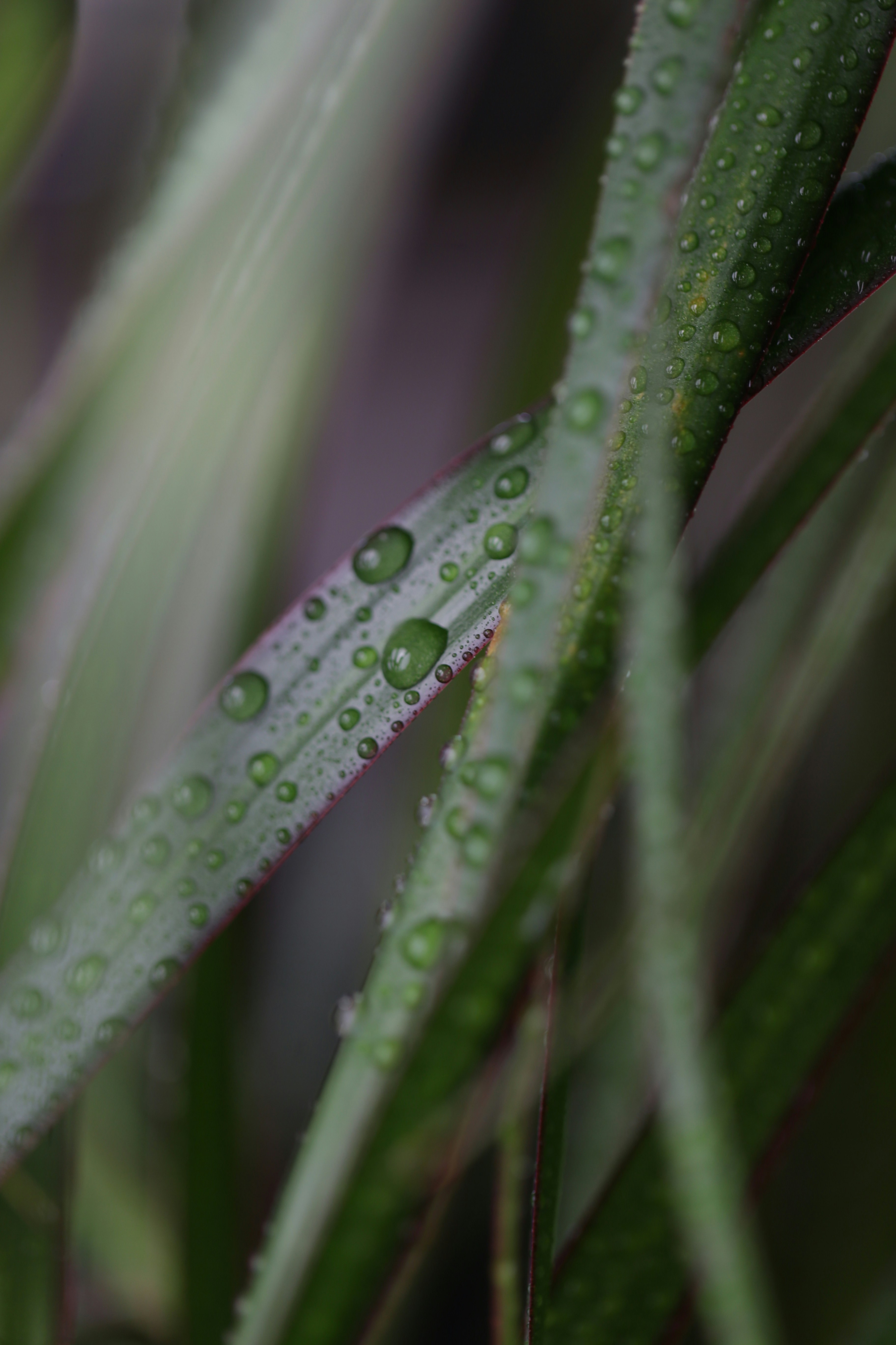 Photo by kristinazuu