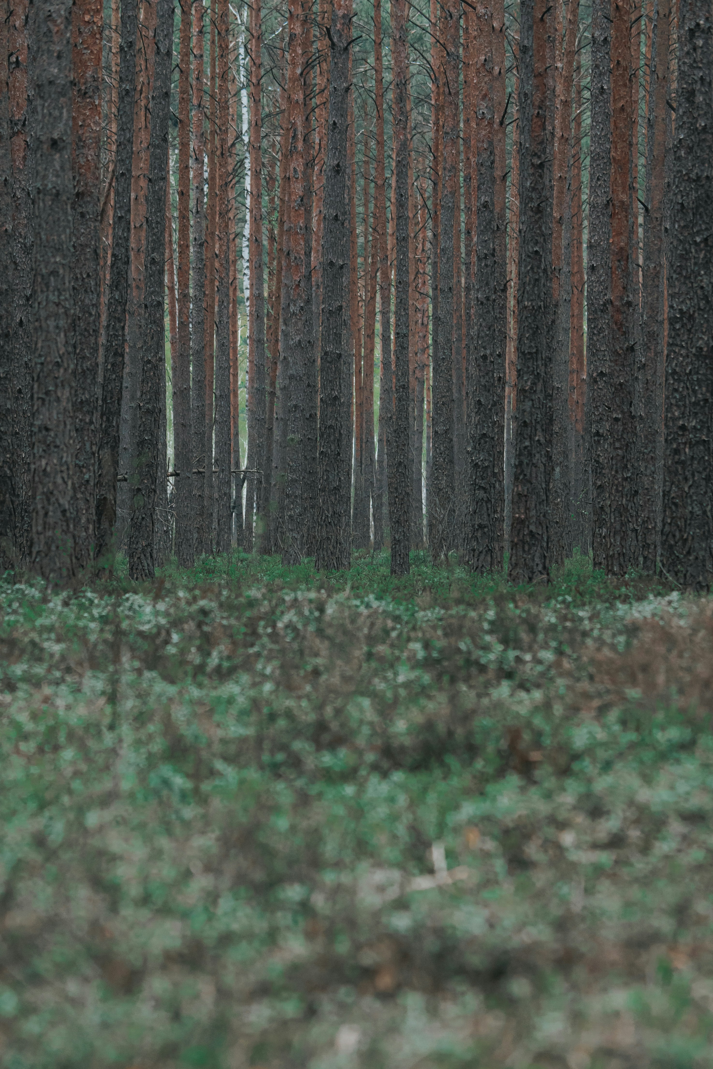 Photo by kristinazuu