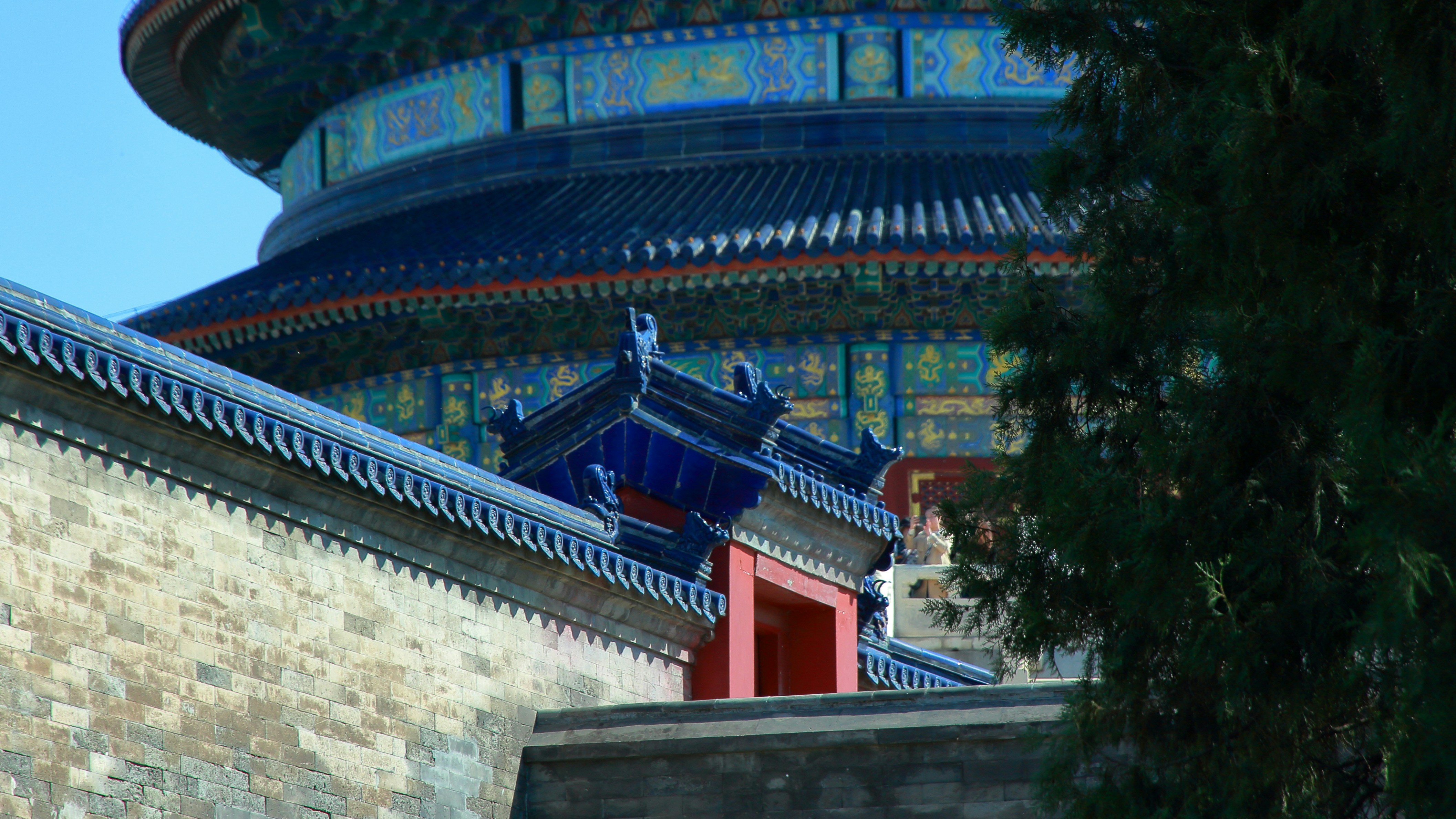a bird is perched on the roof of a building