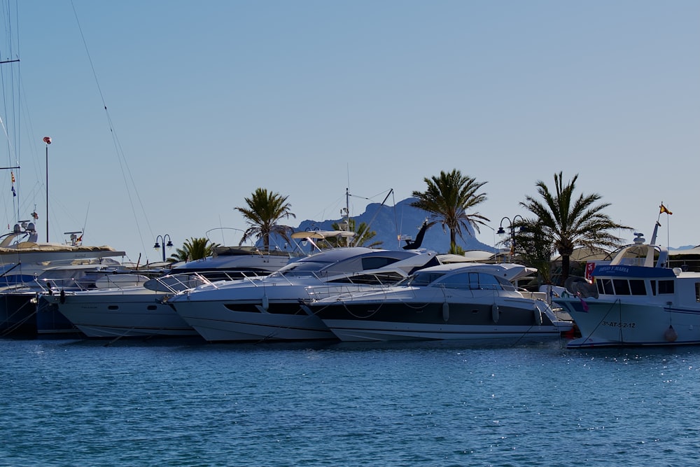 a bunch of boats that are sitting in the water