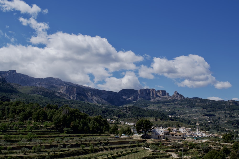 a scenic view of a valley with mountains in the background