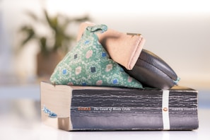 A large book with a cracked spine, titled 'The Count of Monte Cristo' by Dumas, is placed on a reflective surface. On top of the book are two fabric pouches, one in green with a floral pattern and another in black leather. The background is blurred, suggesting a well-lit interior with a plant.