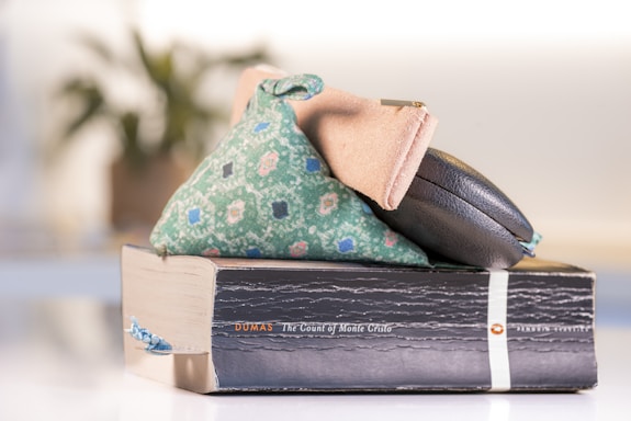 A large book with a cracked spine, titled 'The Count of Monte Cristo' by Dumas, is placed on a reflective surface. On top of the book are two fabric pouches, one in green with a floral pattern and another in black leather. The background is blurred, suggesting a well-lit interior with a plant.