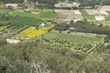 Aerial view of diverse crop fields in a rural landscape.