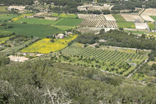 Aerial view of a sprawling rural field with clear property boundaries and surveying markers visible.