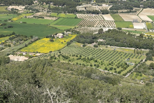 Aerial view of a sprawling rural landscape with marked property boundaries.