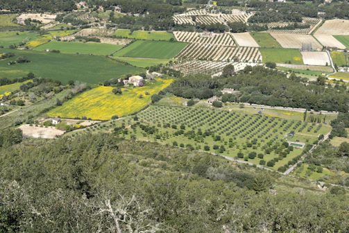 Aerial view of a sprawling rural field with clear property boundaries and surveying markers visible.