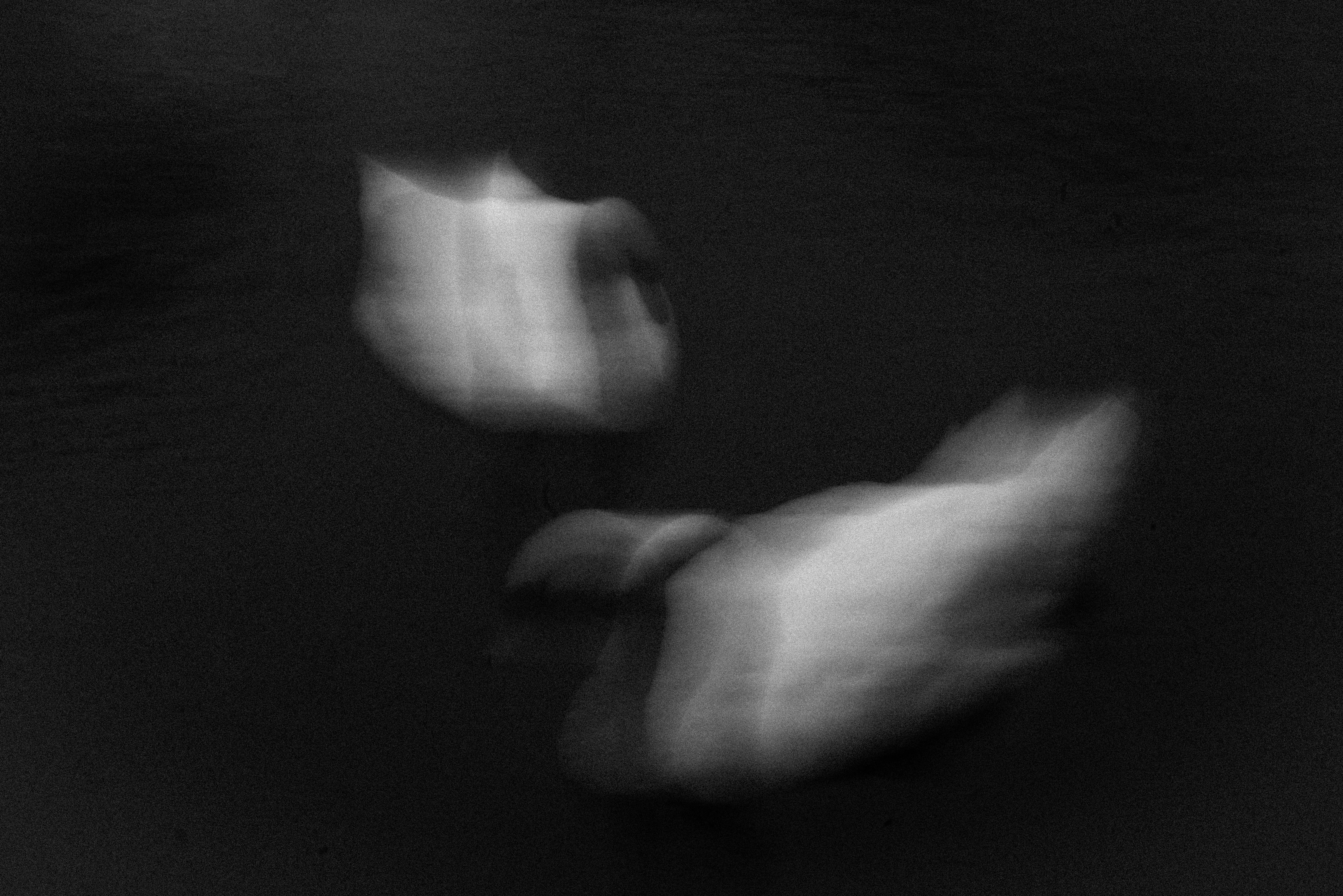 Photo by mihaiteslariu0