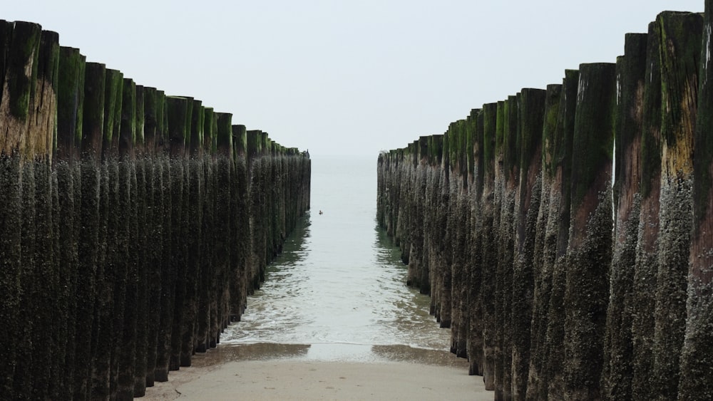 Una vista dell'oceano da un molo