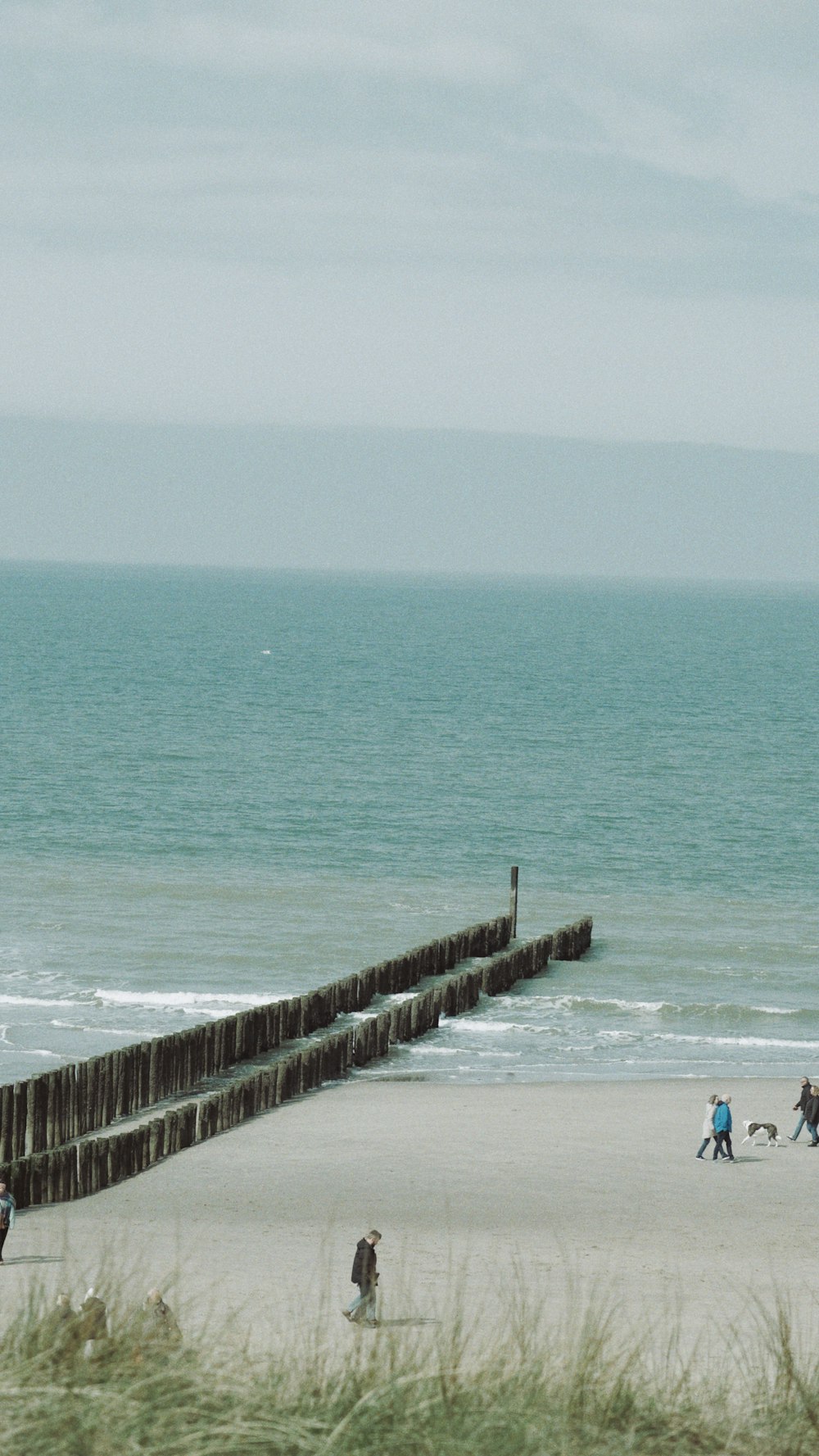 a group of people walking along a beach next to the ocean