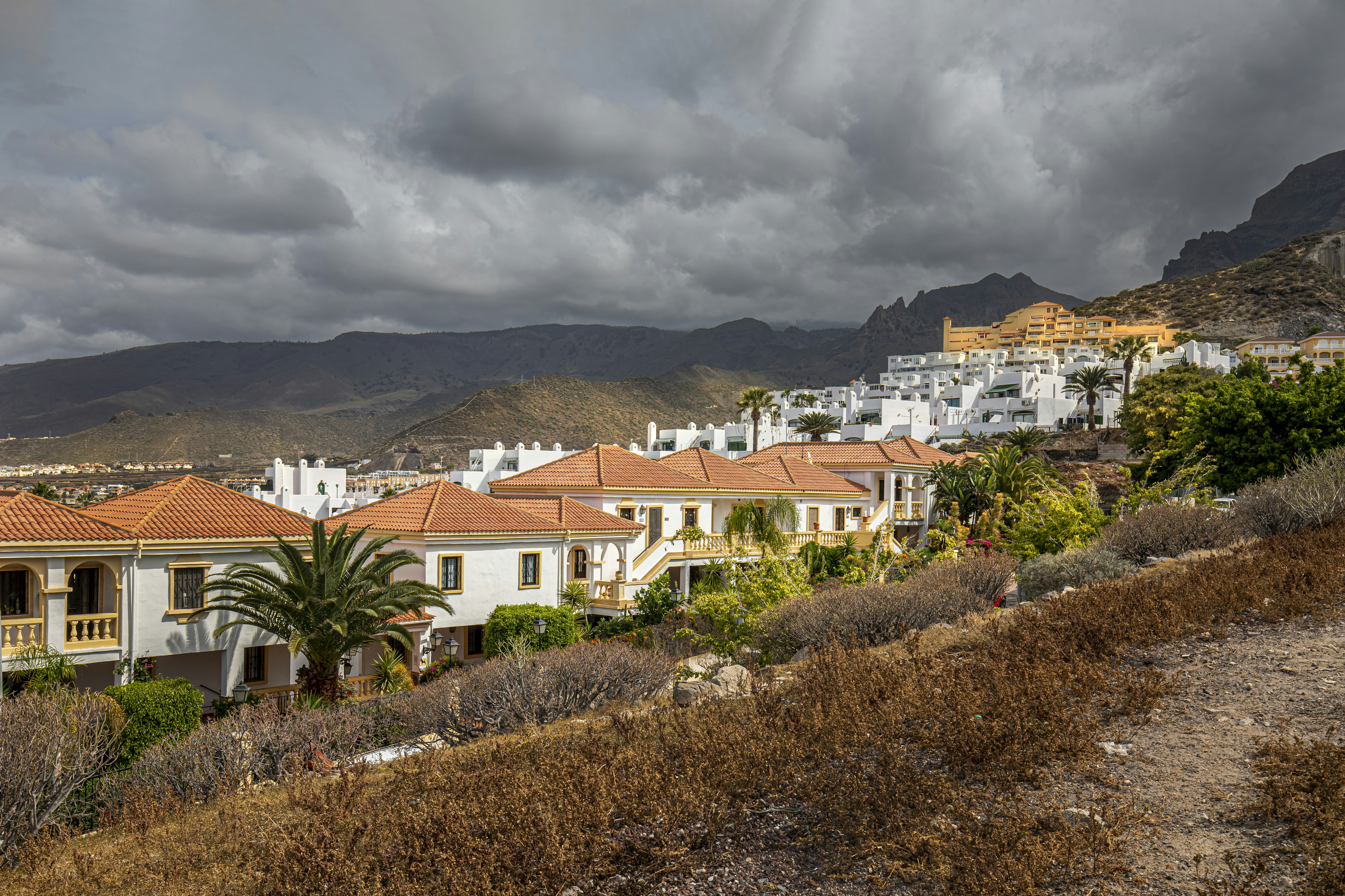 Photo by erik_karits