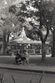 Soft focus photo of a serene park bench where two people are engaged in conversation.
