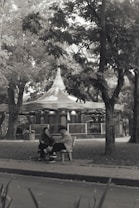 A monochrome photograph captures two people sitting and conversing on a bench in a park. The scene is framed by trees with dense foliage, providing a serene and natural setting. In the background, a carousel structure is visible, adding an element of nostalgia. The overall ambiance is calm and reflective.