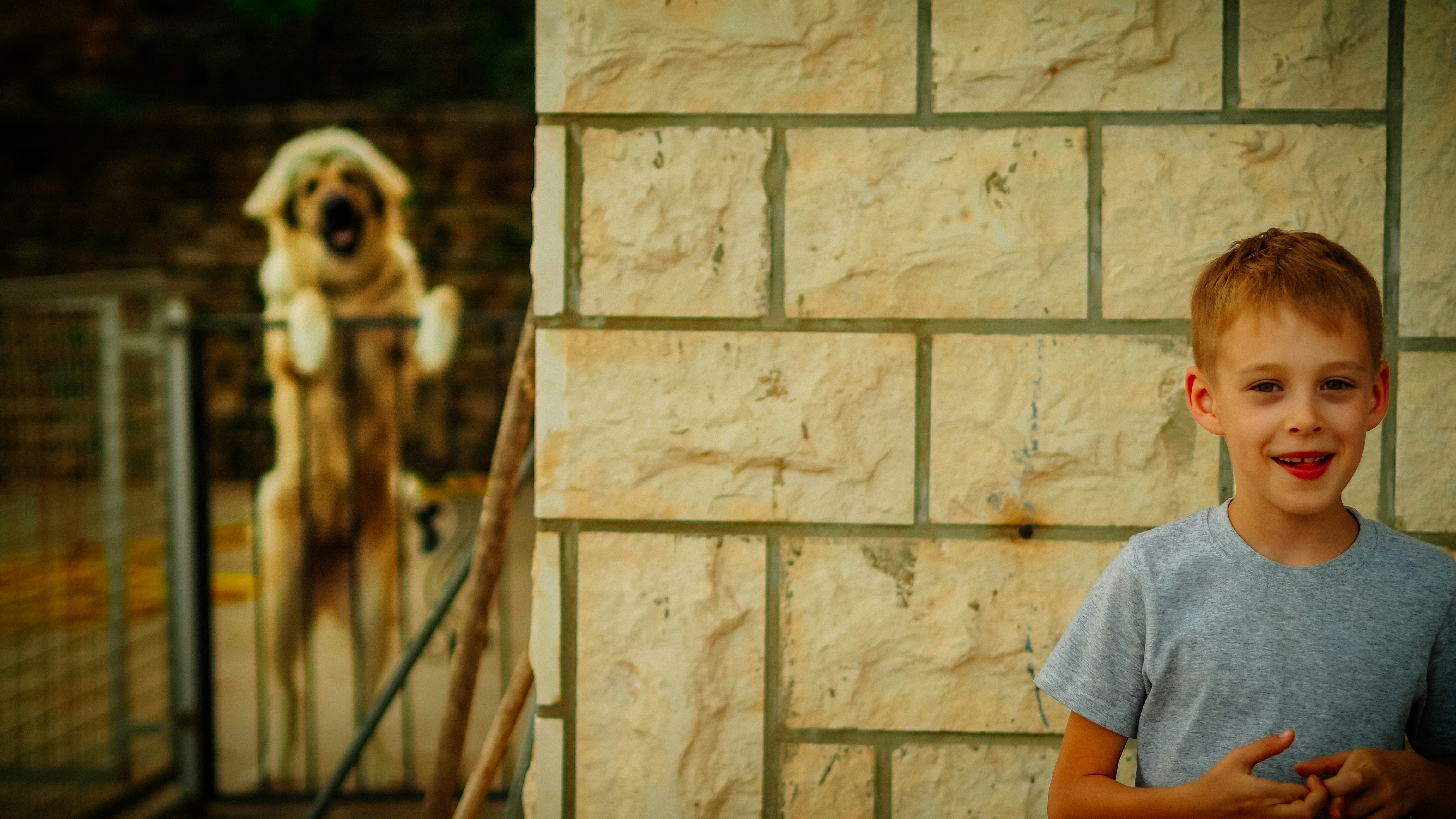a young boy standing in front of a dog behind a fence