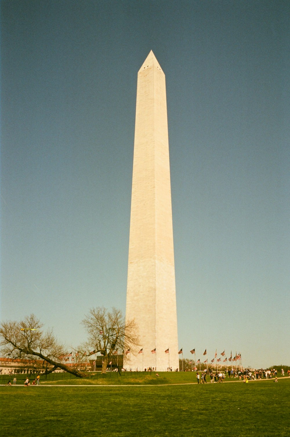 Il monumento a Washington a Washington, DC