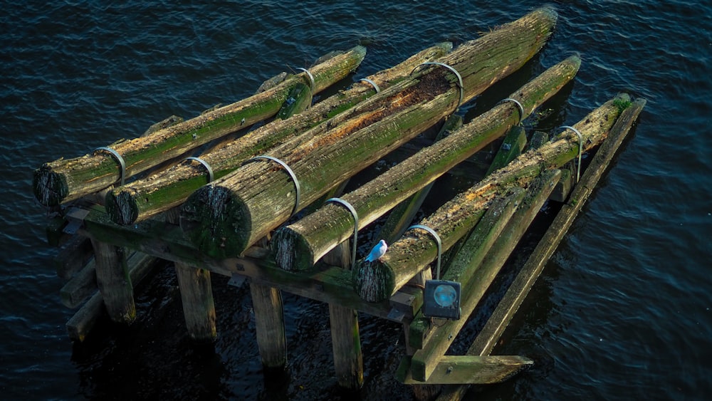 a group of wooden poles sticking out of the water