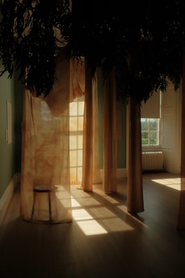 A softly lit meditation room with floor cushions and gentle natural light filtering through sheer curtains.