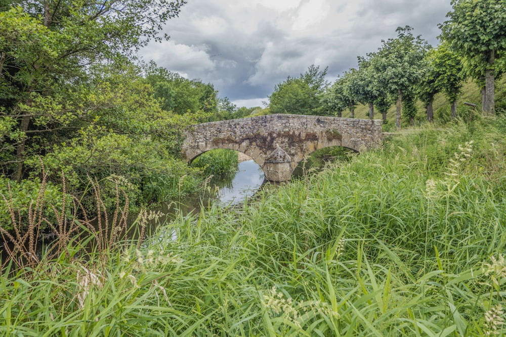 a stone bridge over a river surrounded by tall grass