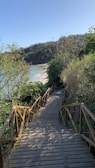Private access path leading down to a pristine, untouched beach