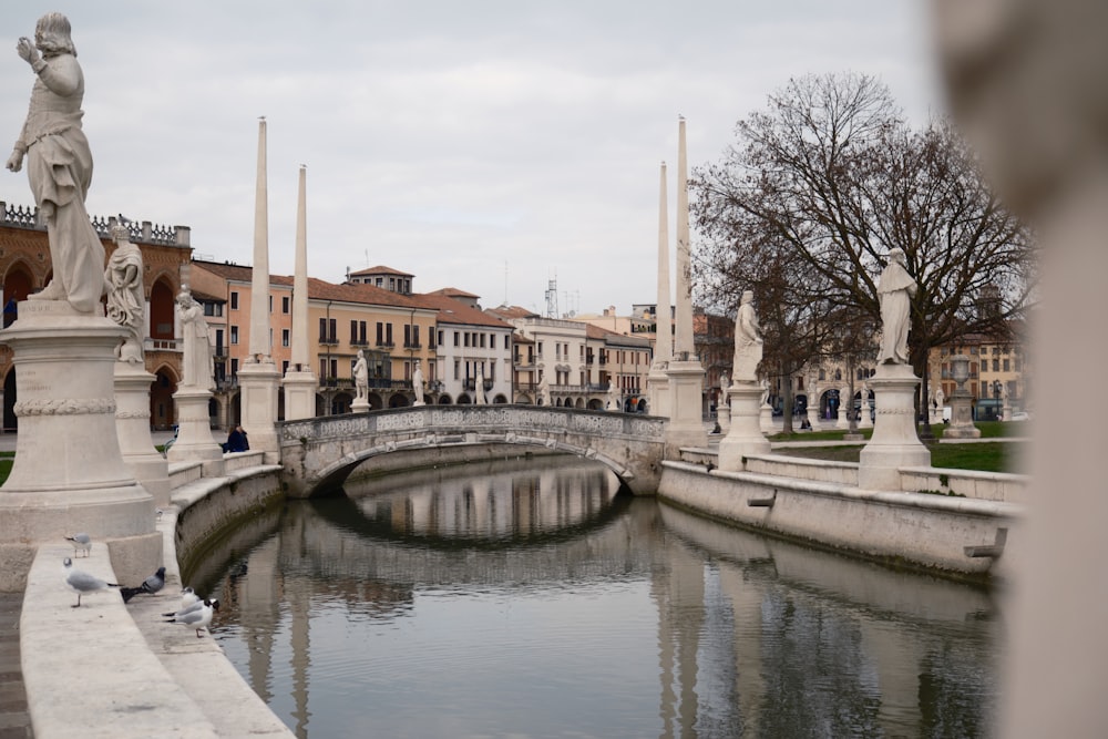 a bridge over a small pond in a city