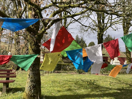 A quiet temple courtyard framed by blooming marigold garlands and fluttering prayer flags.