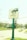 A green pole with a sign for 'Duncan's Auto Service' featuring a graphic of a car being worked on. The background includes a suburban street scene with houses, trees, a mailbox, and a traffic sign. The overall lighting suggests a bright, sunny day.