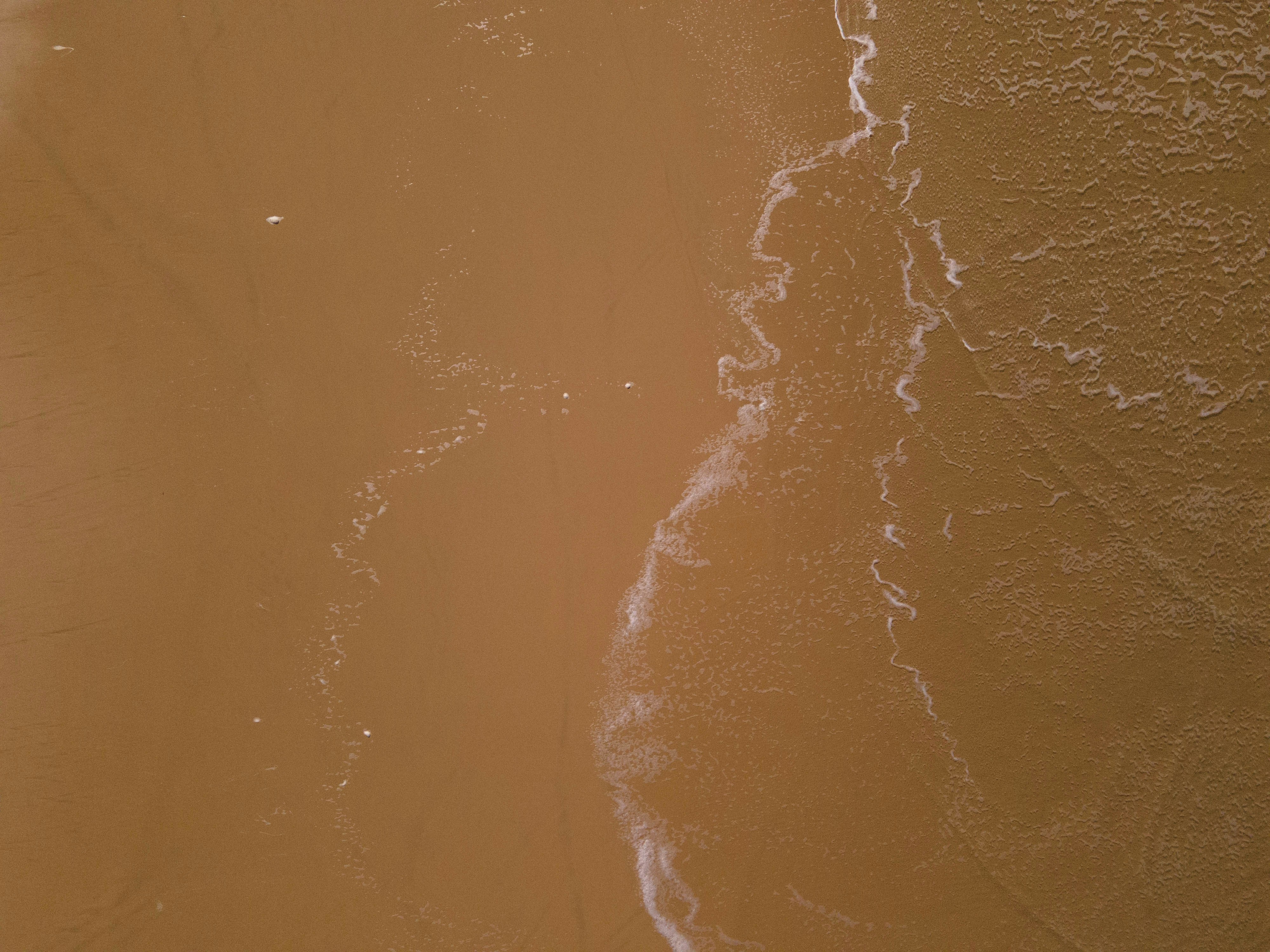 Photo by charl_durand