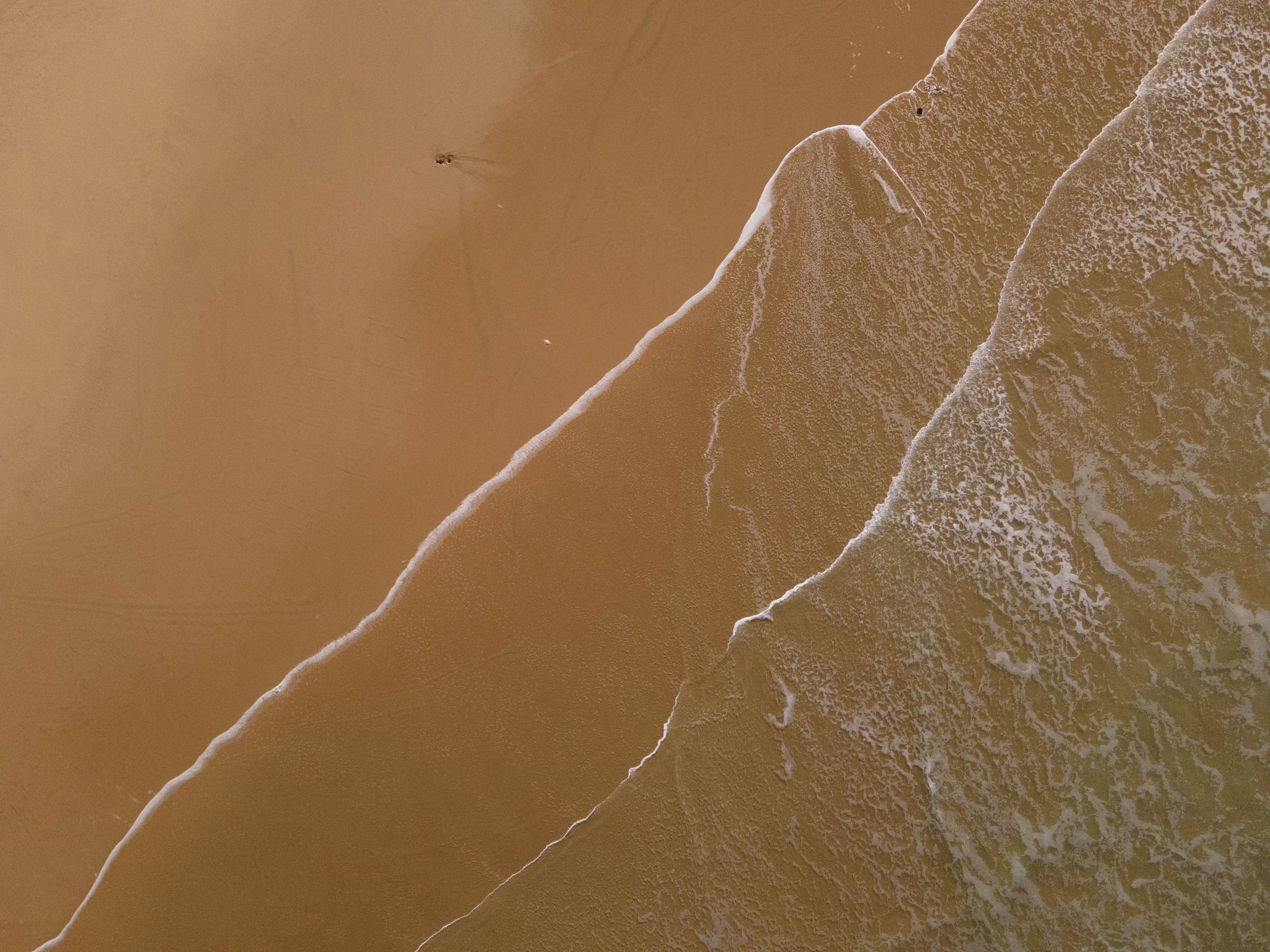 Photo by charl_durand