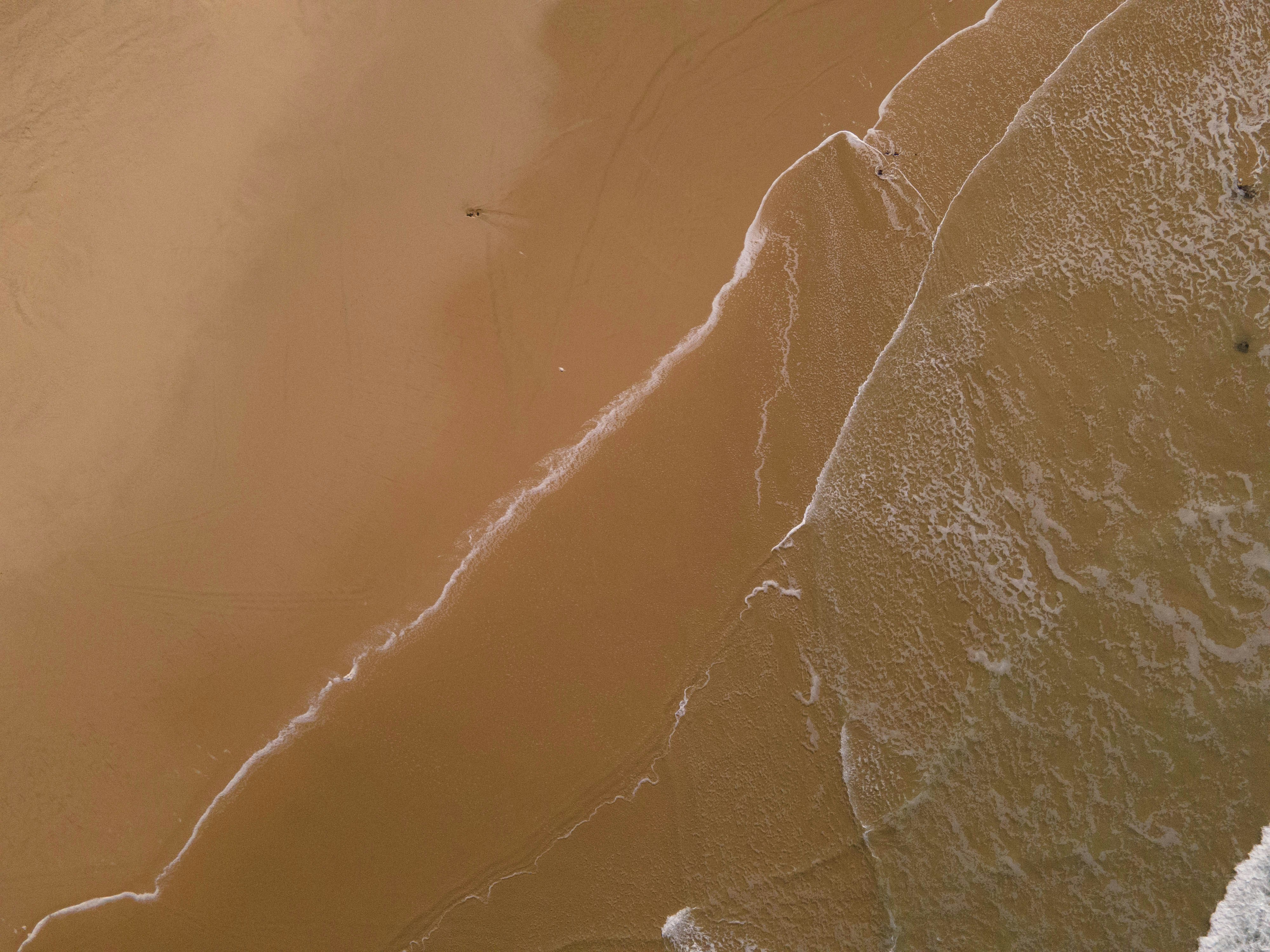 Photo by charl_durand