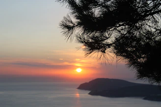 Sunset over turquoise Mediterranean sea with silhouetted pine trees in Likya Korsan Koyu