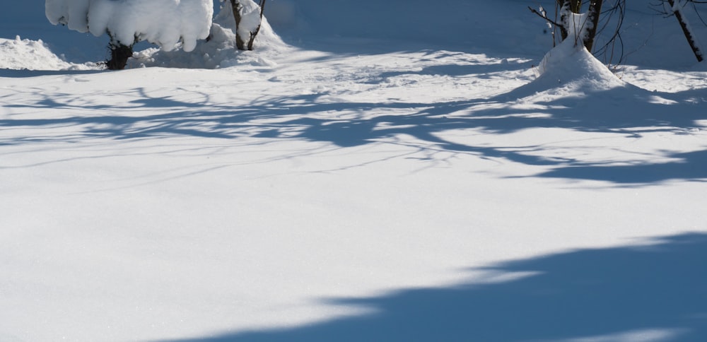 a person riding skis down a snow covered slope