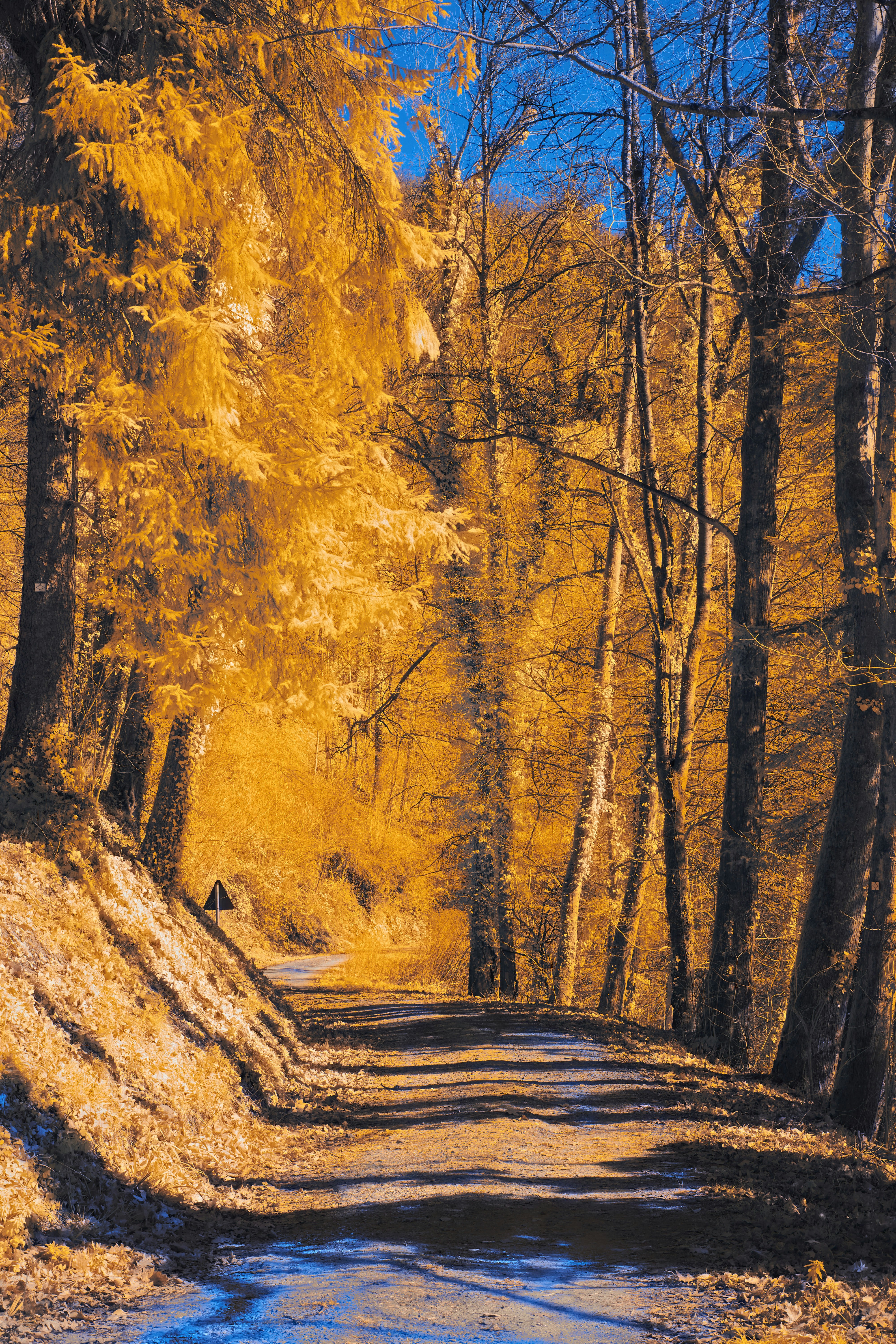 Photo by wolfgang_hasselmann