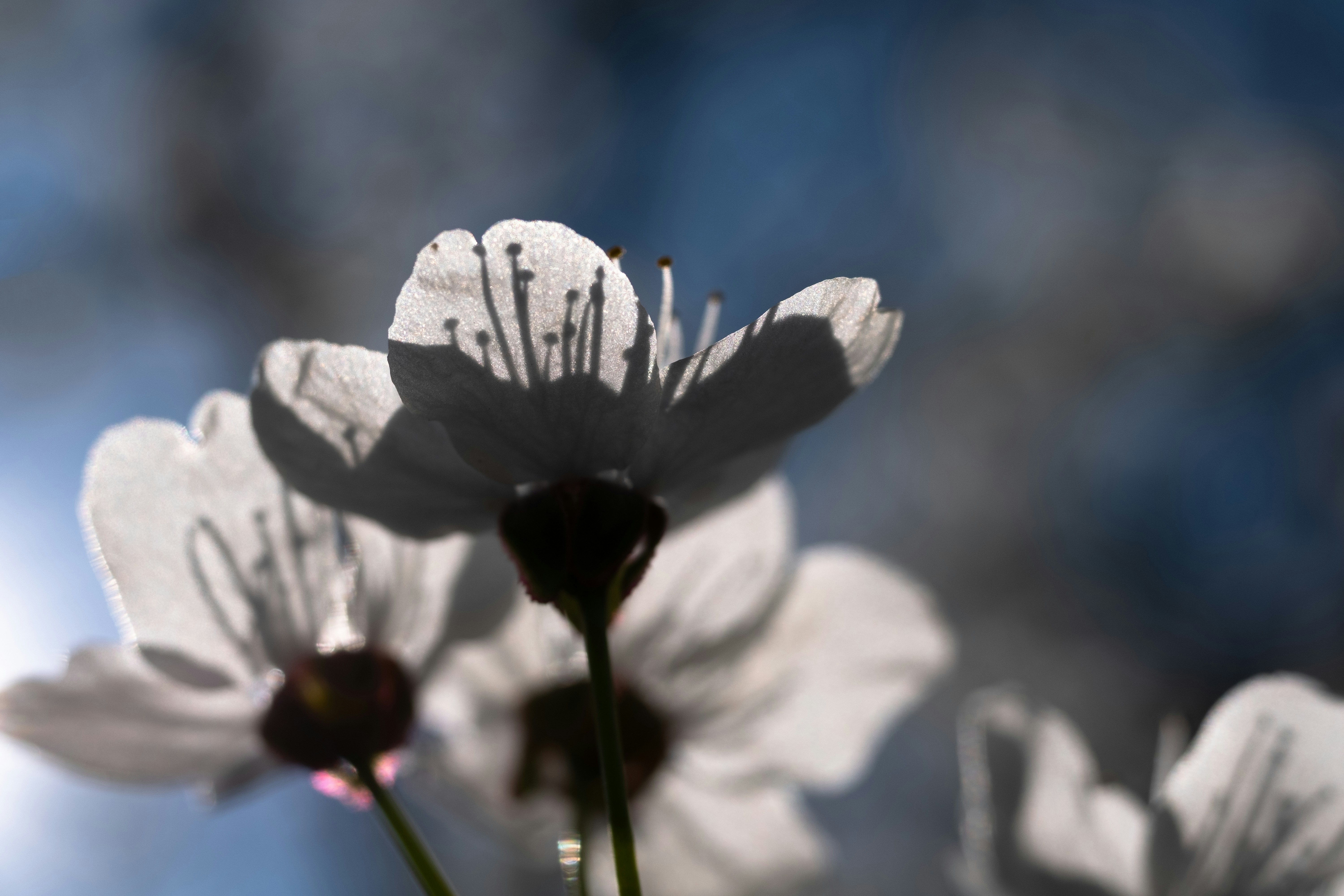 Photo by sevencolors