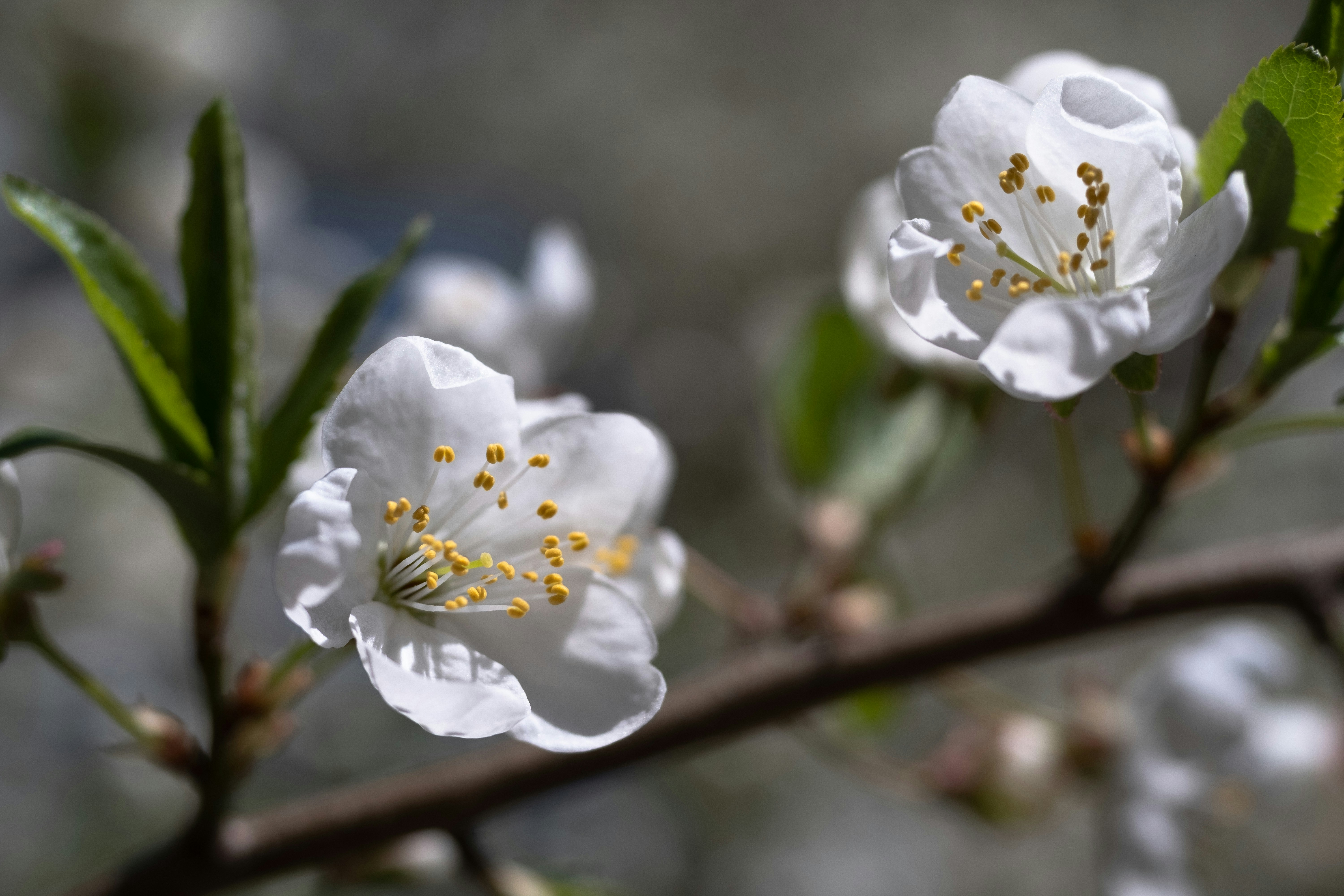 Photo by sevencolors