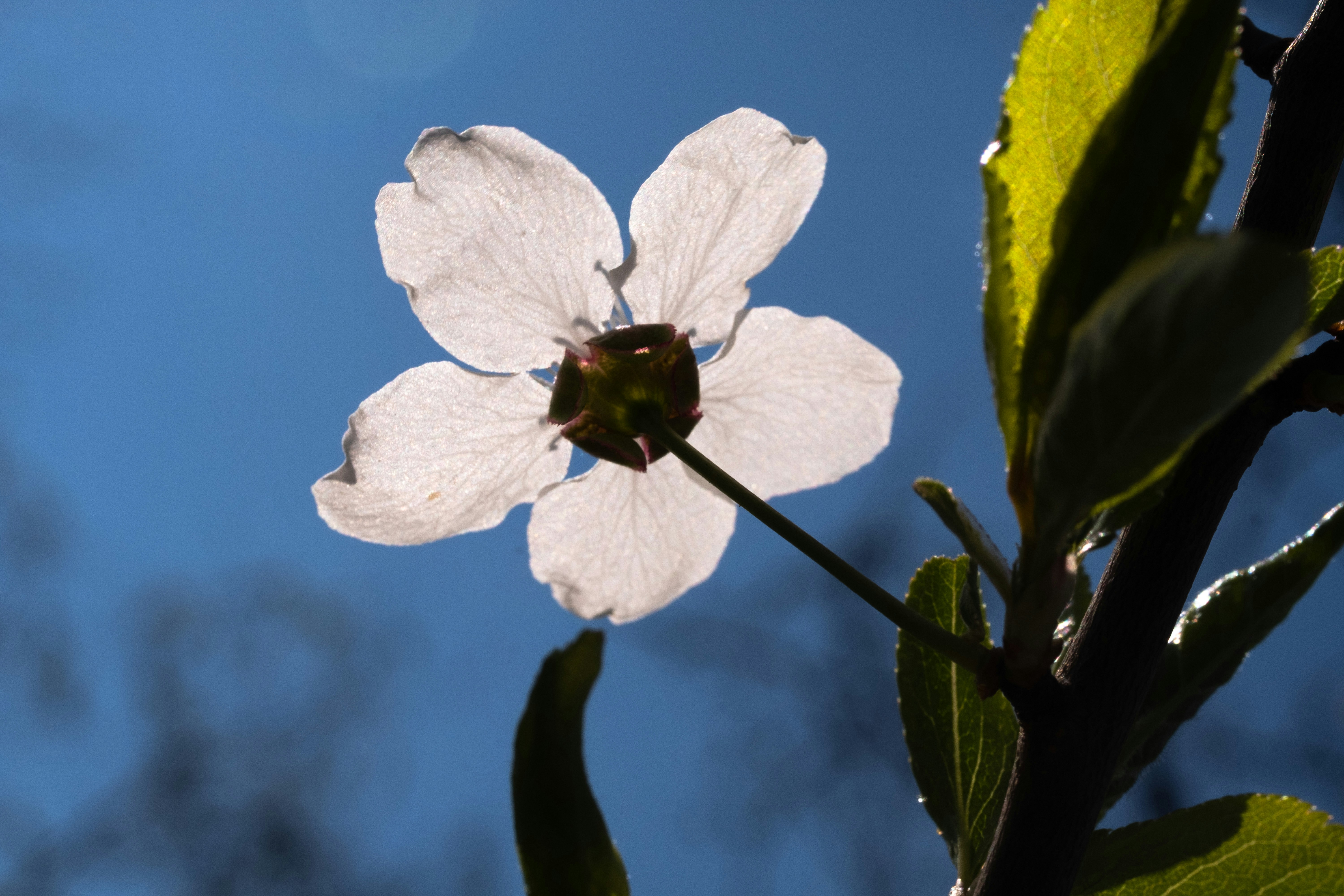 Photo by sevencolors