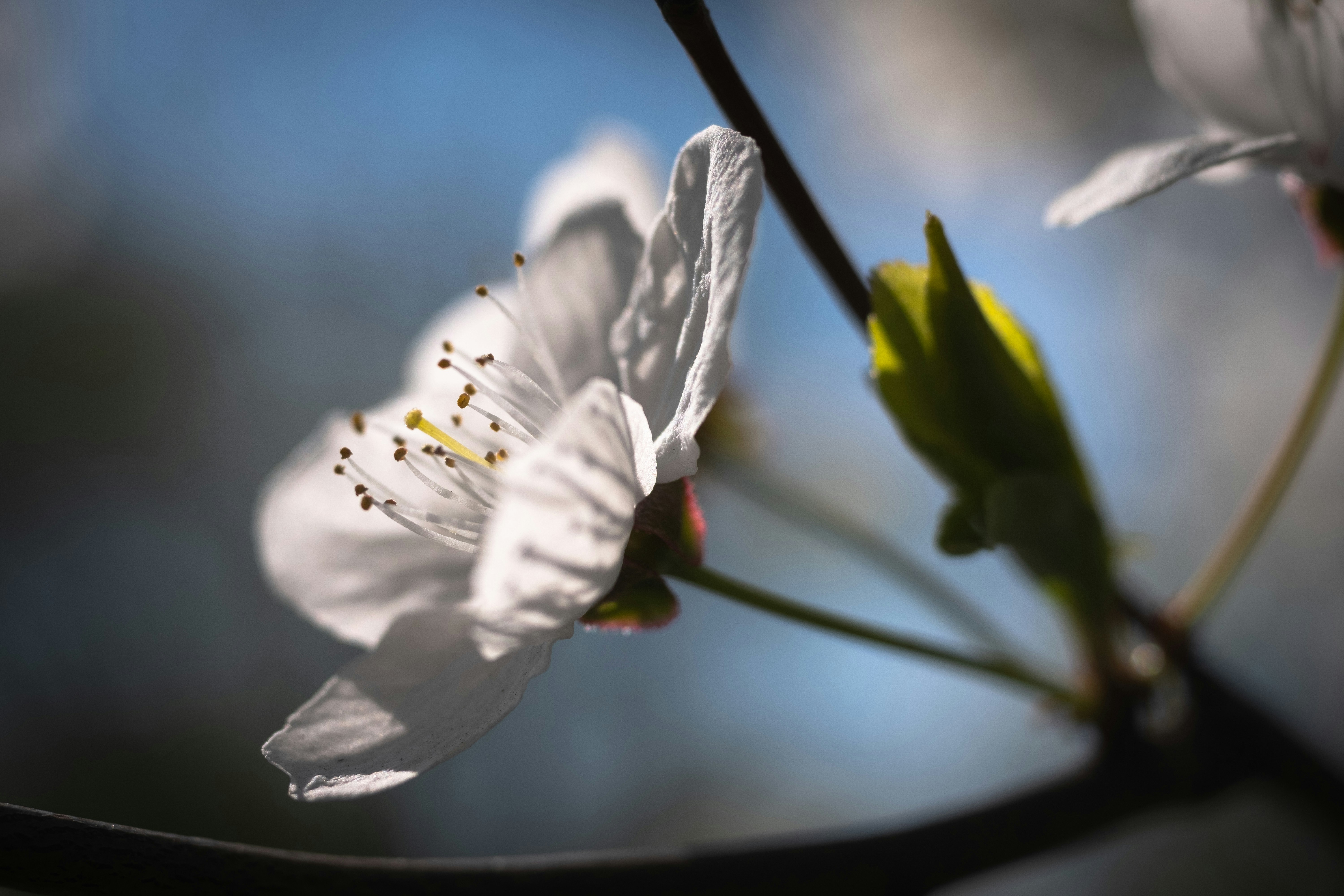 Photo by sevencolors