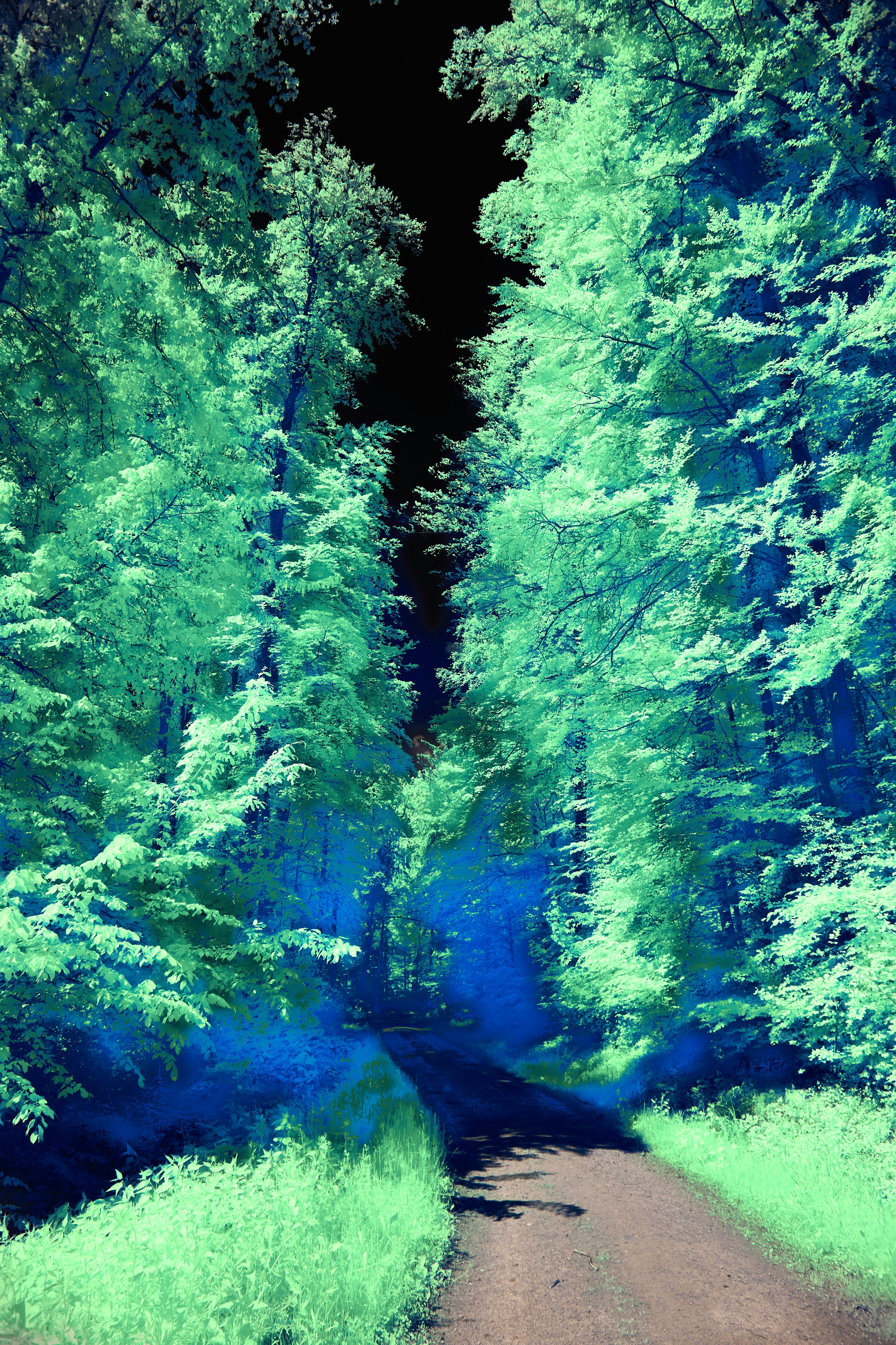 Photo by wolfgang_hasselmann