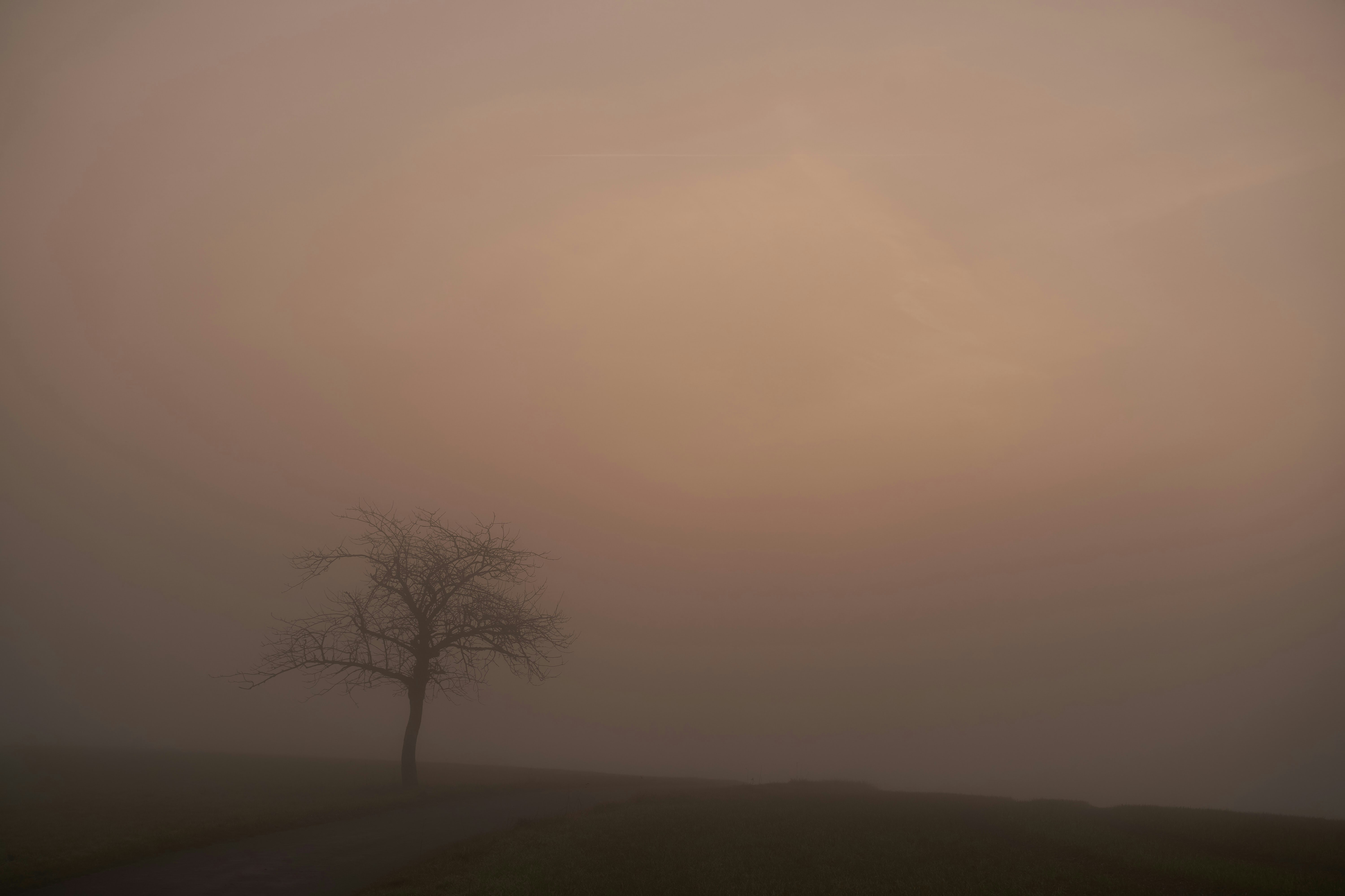 Photo by wolfgang_hasselmann