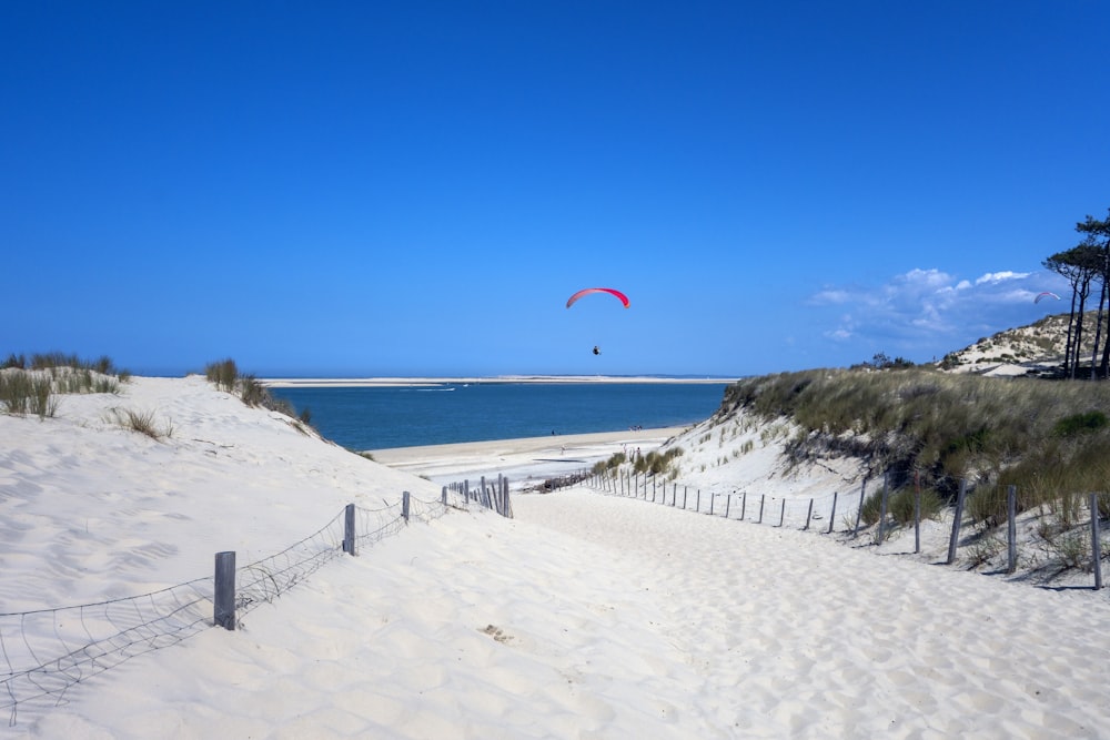 Ein Drachen, der über einen Sandstrand am Meer fliegt