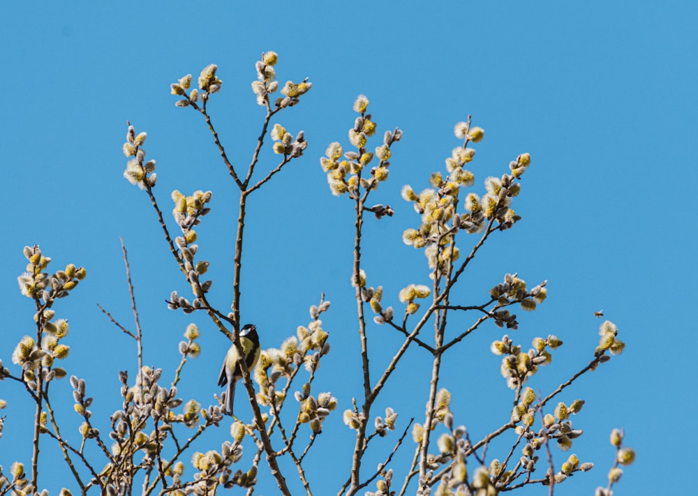 a bird is sitting on a tree branch