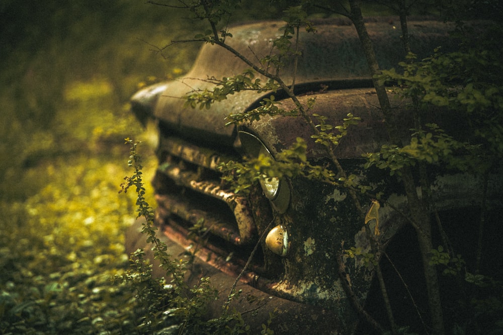 a rusted out truck sitting in the middle of a forest