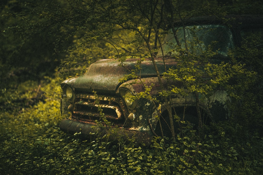 an old truck sitting in the middle of a forest