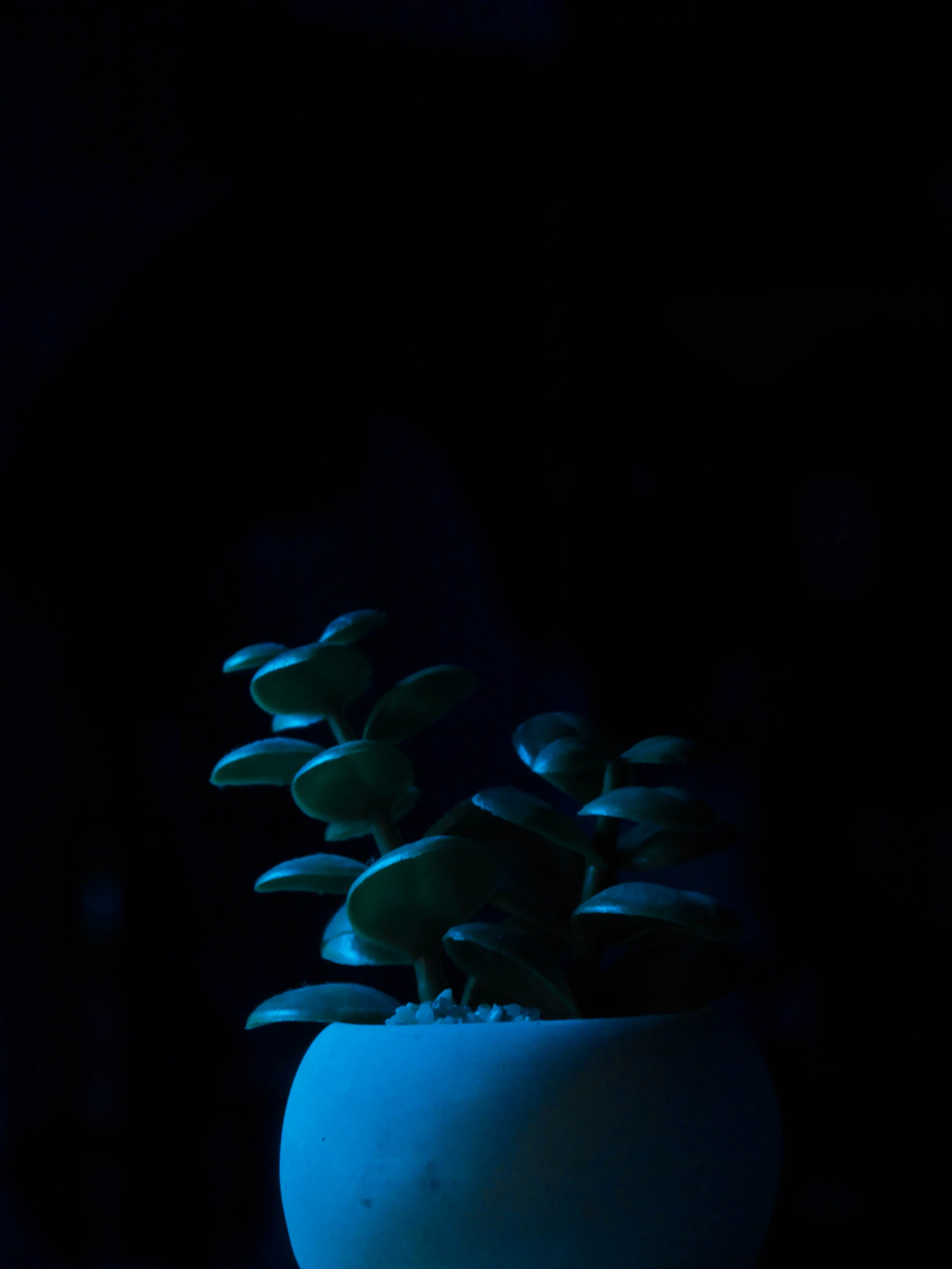 woman wearing yellow long-sleeved dress under white clouds and blue sky during daytime