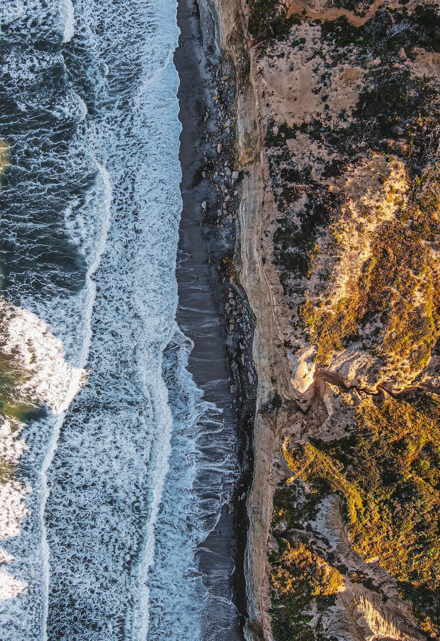 Torrey Pines State Natural Reserve bluffs and coast, San Diego