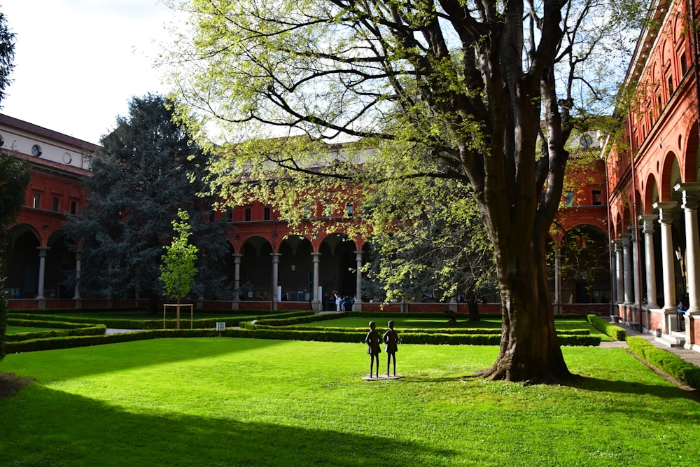 a couple of people standing on top of a lush green field