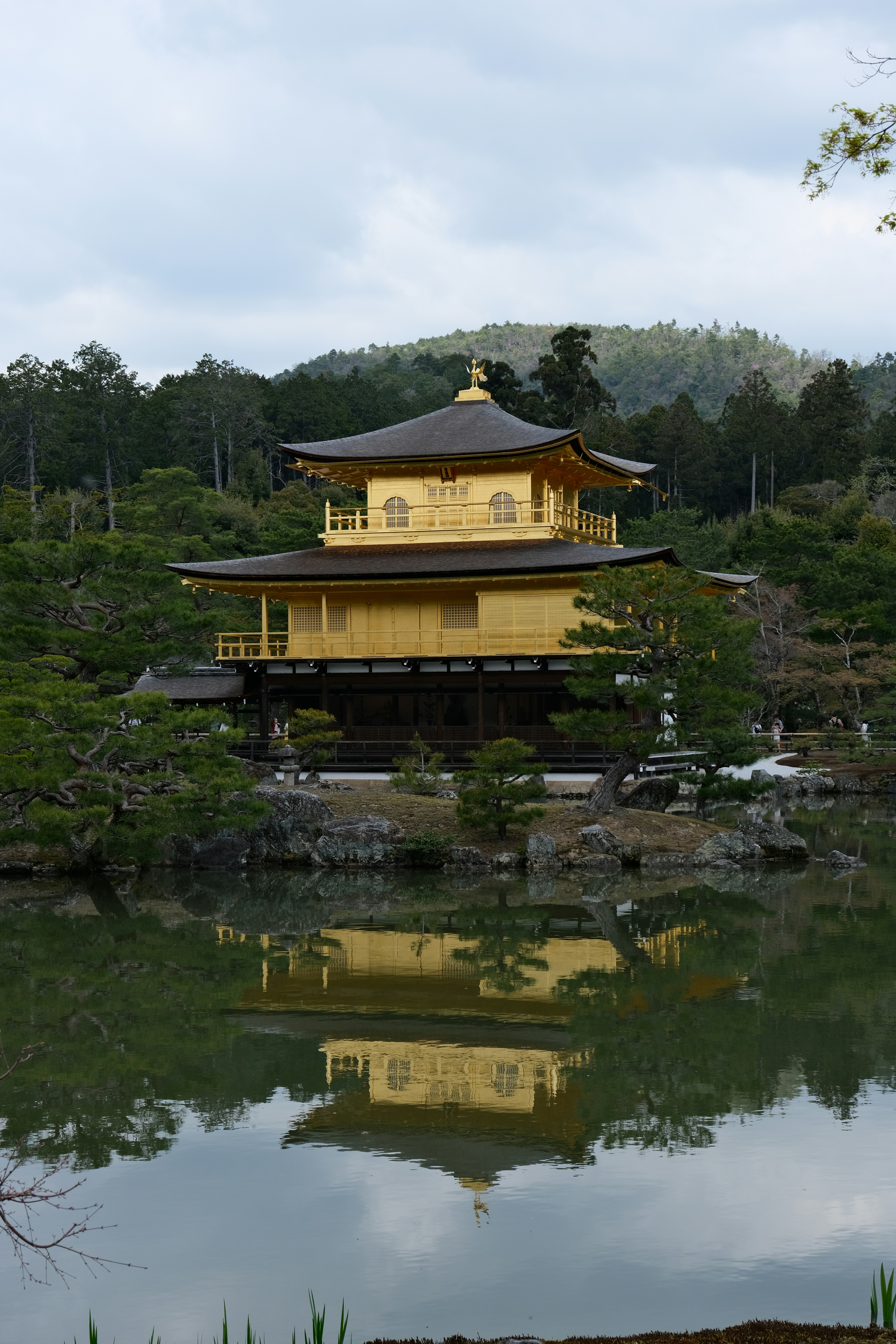 Photo by ingeborgkorme